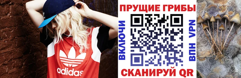 Псилоцибиновые грибы Cubensis  наркотики  блэк спрут маркетплейс  Кизел 